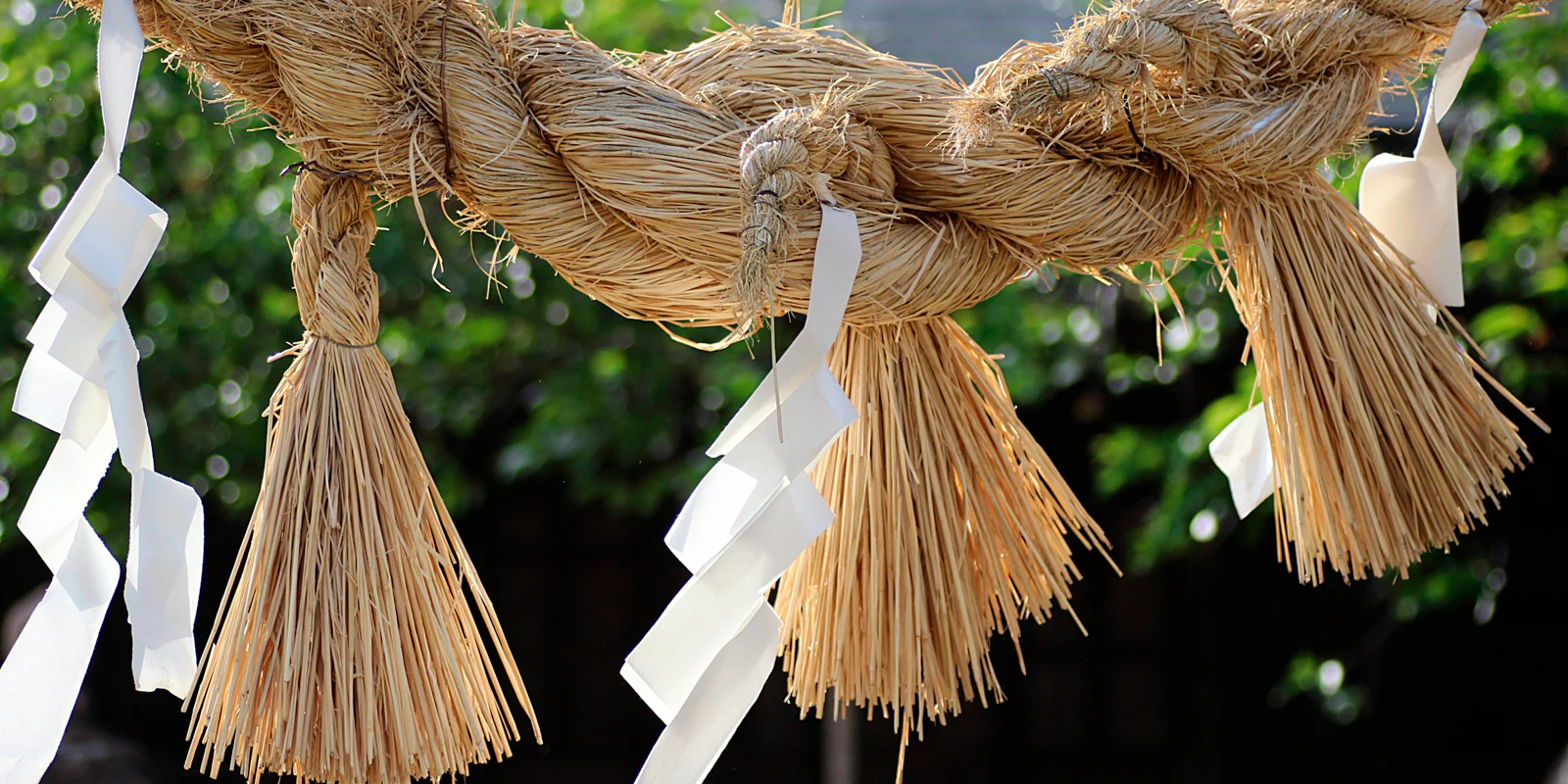 沖縄を愛し、守りたい方は必読です。